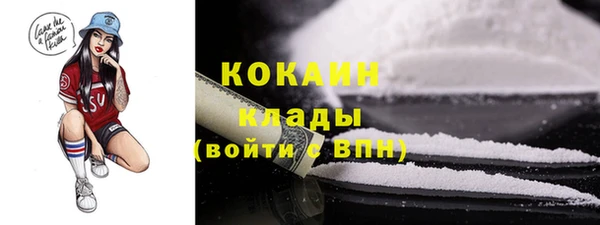 дживик Аркадак